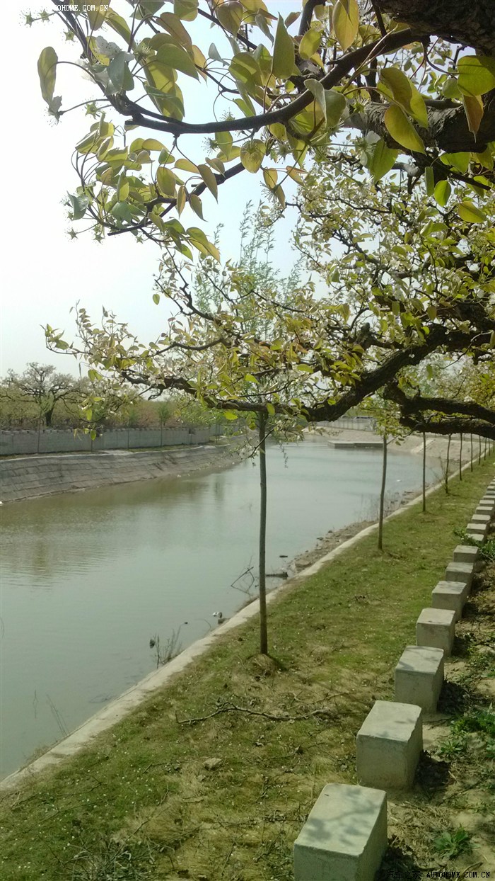 砀山芒山人口_砀山突山风景区