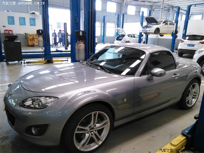 【图】【第一次开车回老家】清明节老家挖折耳