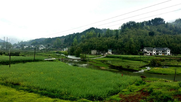 【图】凤冈田坝品新茶,赏美景,宿茶园(更新完毕)_贵州