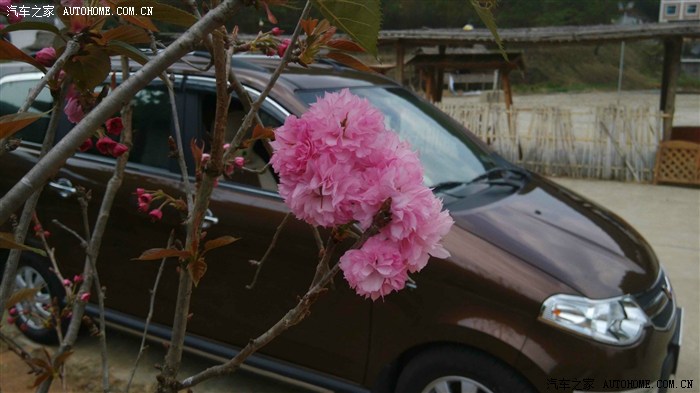 【图】带上<em>我的小</em>S和<em>小姨妹</em>一起出游_云南论