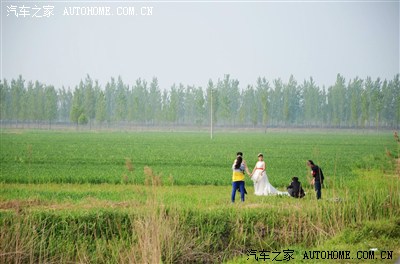 周日游河南封丘县陈桥湿地,地广人非常稀,还免