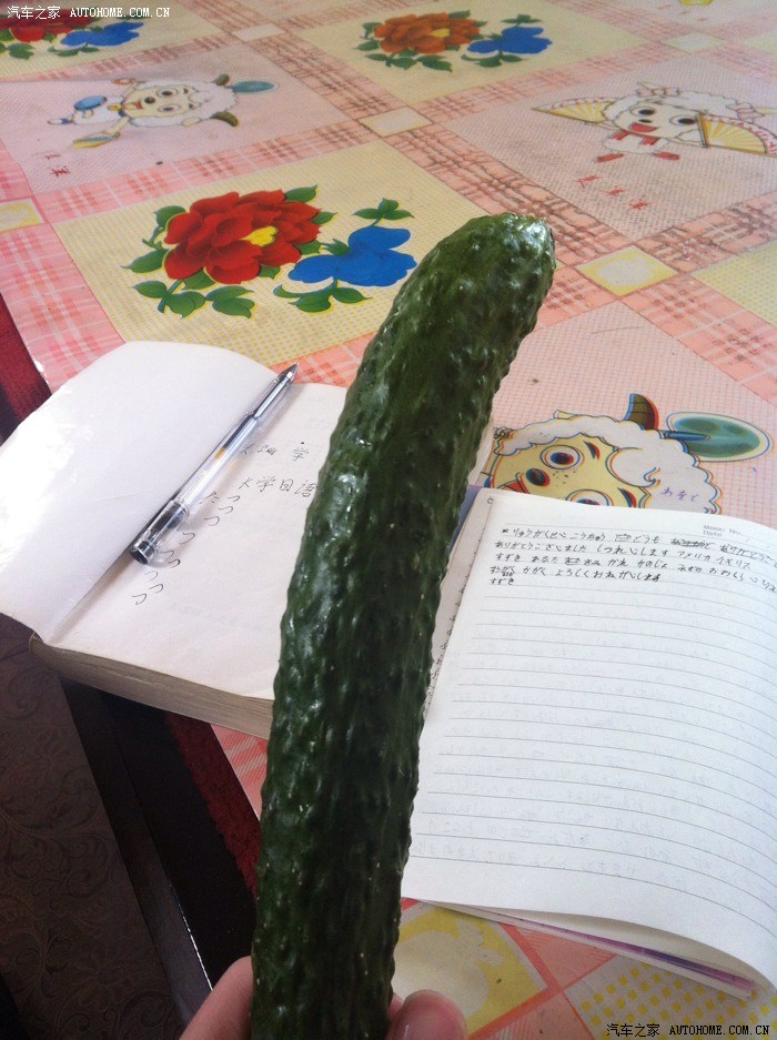 【图】饭后水果_黑龙江论坛_汽车之家论坛