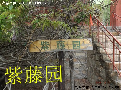 宁阳神童山观音庵游记,看千年古藤【ningyang2012】