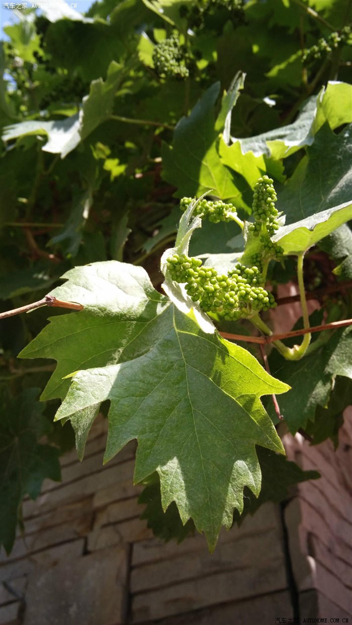 【图】贼不走空的天津车展之行_天津论坛_汽