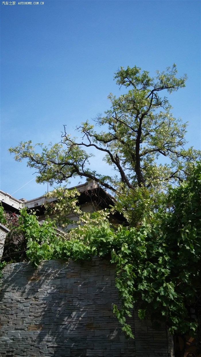 【图】贼不走空的天津车展之行_天津论坛_汽