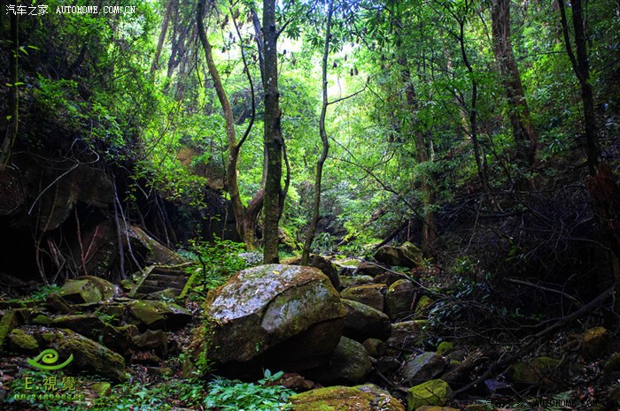 【景逸x3杯】避暑胜地永仁方山,亲近原始森林,感受远古战场.