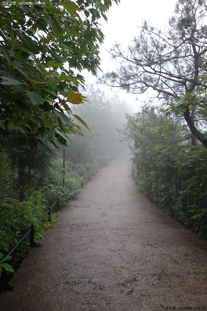 外面的道路也是一片迷茫