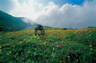 准备去九顶山,求茂县到绵阳北川路况!