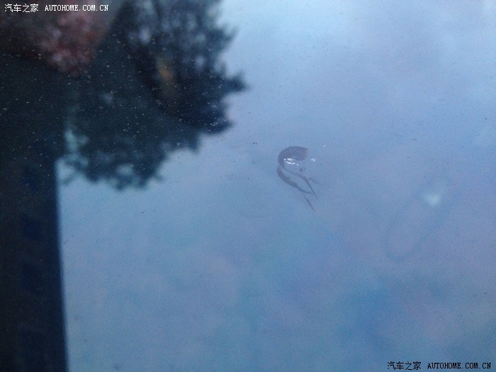 【图】下班路上前挡风玻璃被前车蹦了一个石头