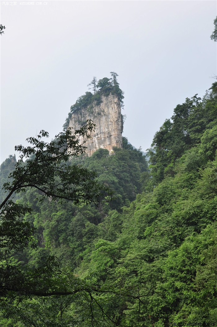 风光旖旎的大方油杉河
