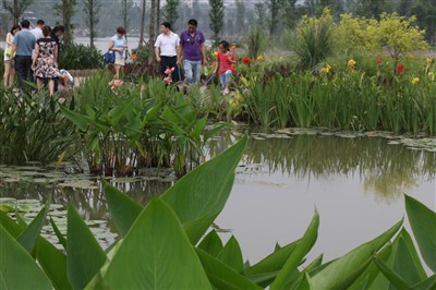 近水楼台先得月 闲逛瞎拍公园景