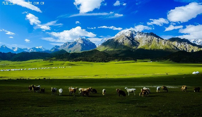 在美丽的天山北坡有一处景致迷人的地方—鹿角湾牧场