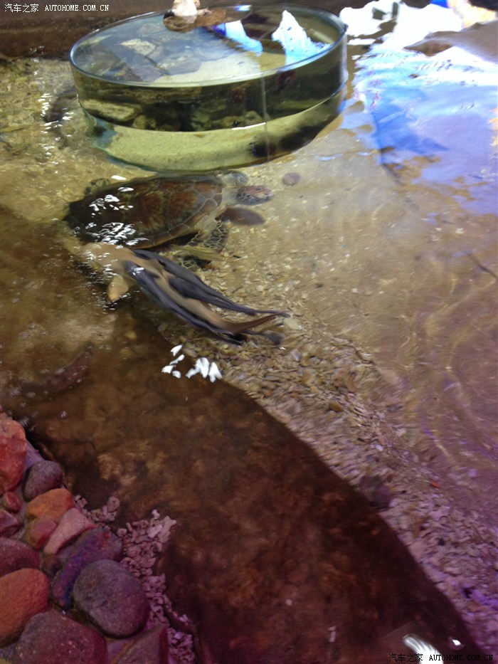 【图】六月间 到三亚感受大海的温度