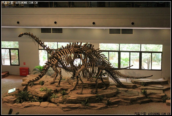 【造访侏罗纪地球霸主 走进自贡恐龙博物馆】
