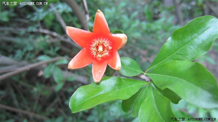 家人的健康安全,请认真欣赏这些幽默的语句!_