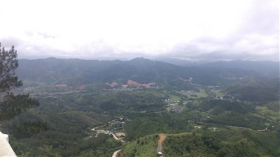 信宜山区行(钱排三华李,石根山)