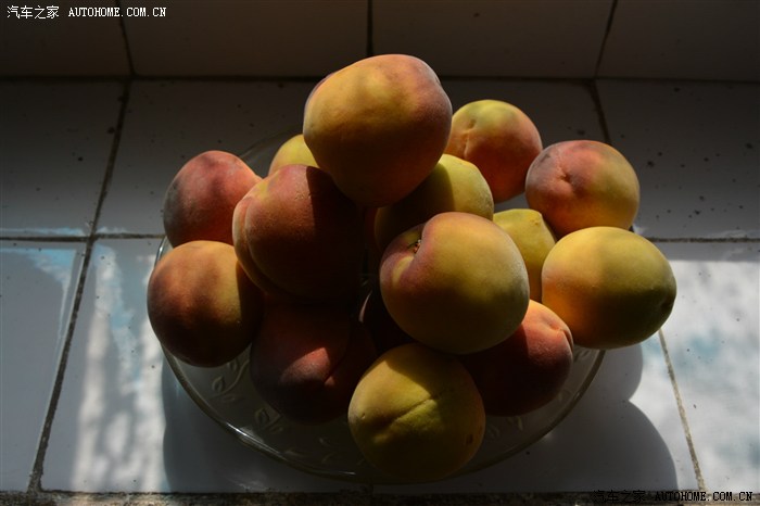 【图】黄金桃也熟了_雪铁龙C5论坛