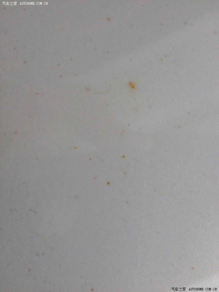 【图】油漆起黄点_英菲尼迪G系\/Q60\/Q60S论