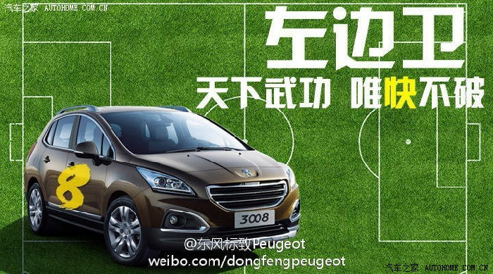 【图】如果狮子组成一支足球队!_标致2008论