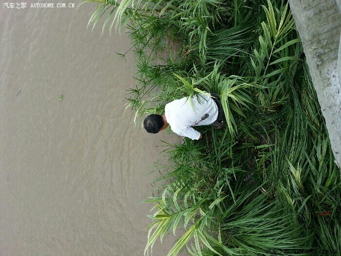 【图】昨天停车偶遇一个大哥江边垂钓,鳄龟,十