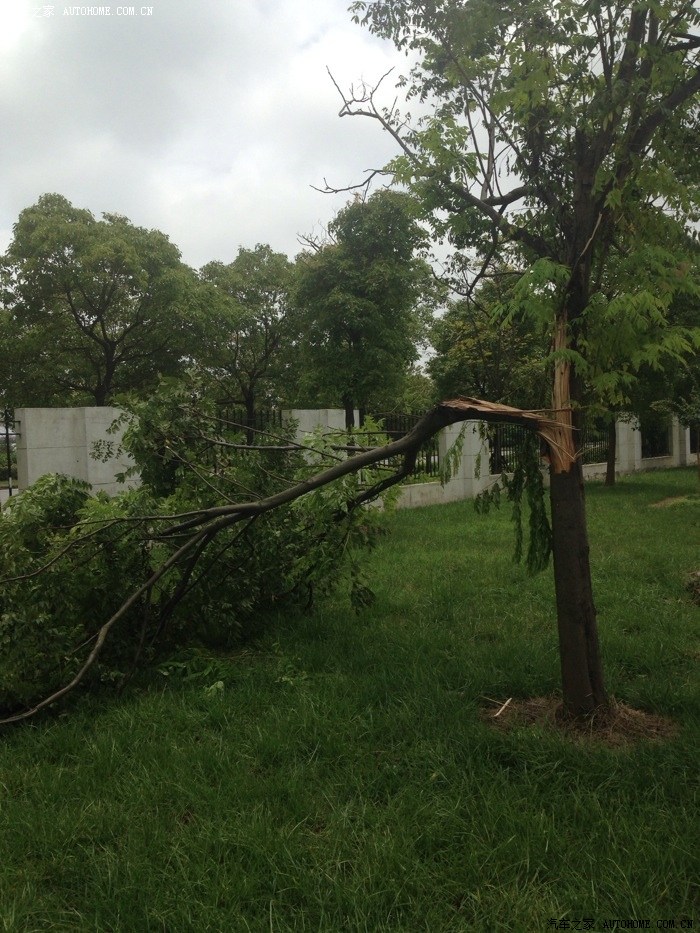 【图】夏季强对流,台风天多,大家停车要小心_