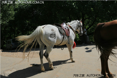 克拉玛依乌鲁木齐兰州九寨沟西安天水西宁嘉峪