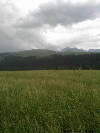 乌鲁木齐-伊犁 熏衣草 油菜花五日游 求认证