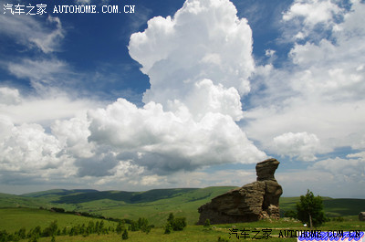 仰望蓝天白云,欣赏绿毯、金莲、黄花、森林--2