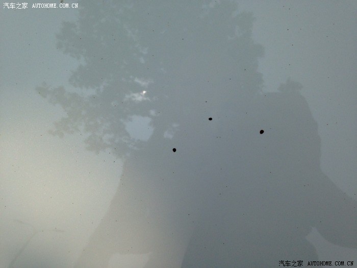 【图】白色车漆有锈点怎么处理?_马自达CX-5