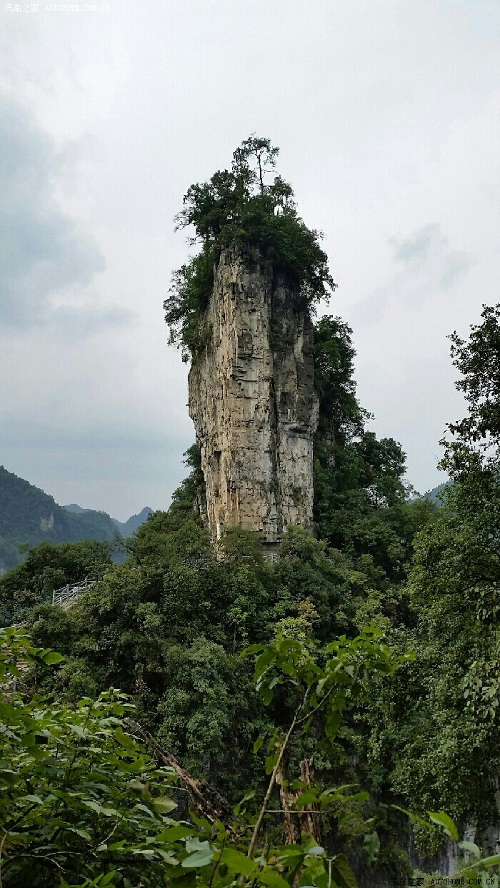 大方油杉河仙宇峰风光无限