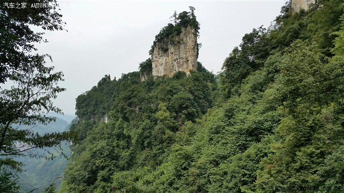 大方油杉河仙宇峰风光无限