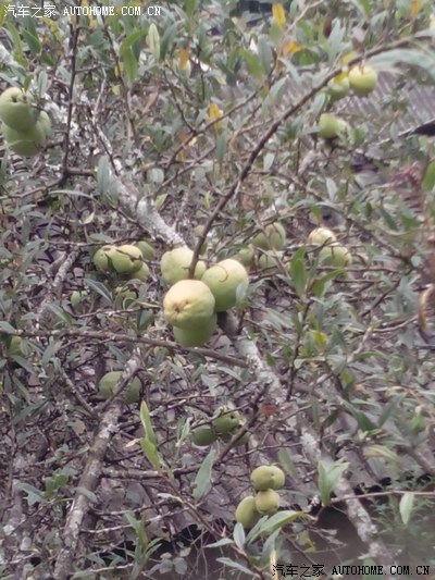 中秋佳节曲靖沾益至老婆家乡云县大石房村_瑞