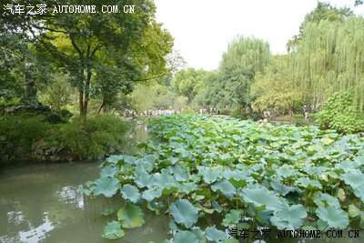 青岛出发 黄山自驾游