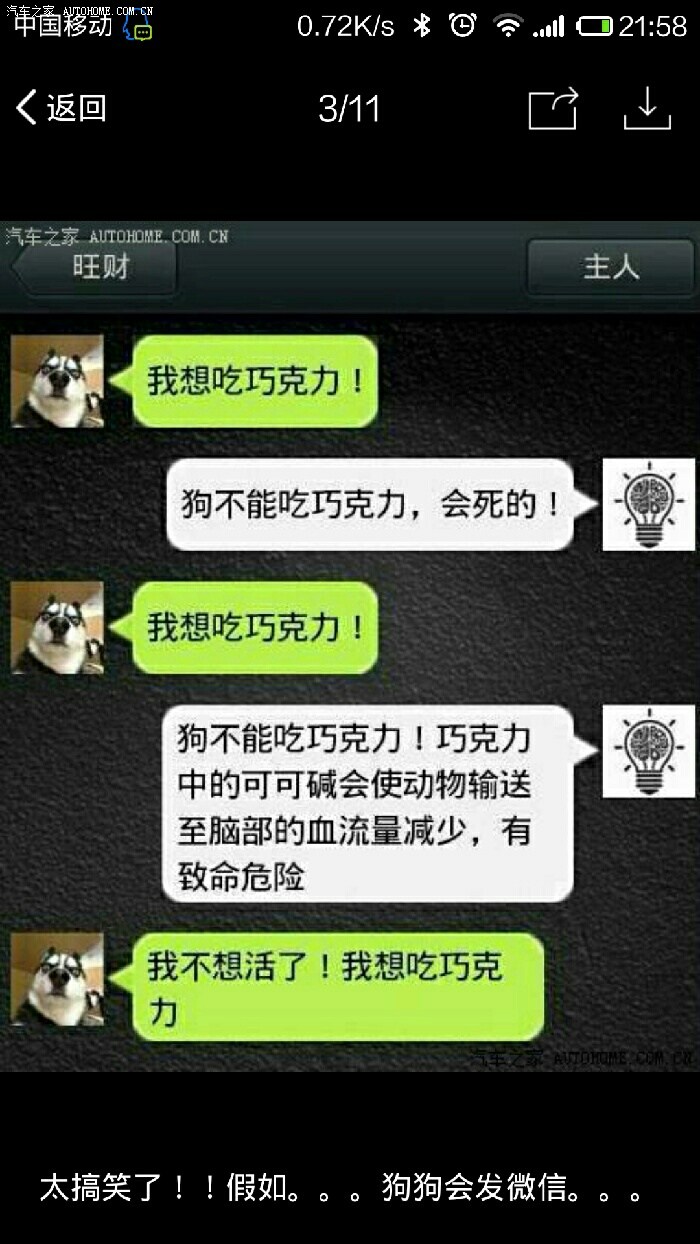 假如狗狗会发微信太搞笑了