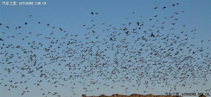 【图】斯柯达速派什么时候恢复0利息贷款啊?