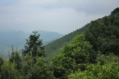 福建省<em>泉州市</em>洛江区<em>马甲镇</em>仙公山【支持甘肃