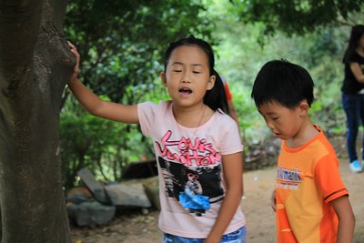 福建省<em>泉州市</em>洛江区<em>马甲镇</em>仙公山【支持甘肃