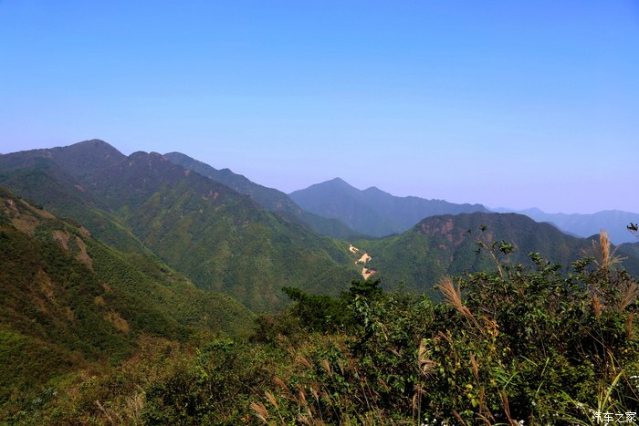 衢州柯城最高峰白菊花尖气象雷达站