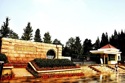 青岛植物园游记_精彩作业论坛_手机汽车之家