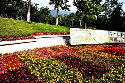 青岛植物园游记