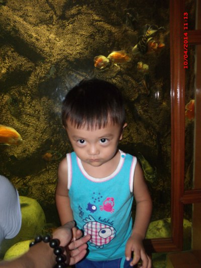 驾照到期换证流程介绍+锋驭国庆海底世界半日