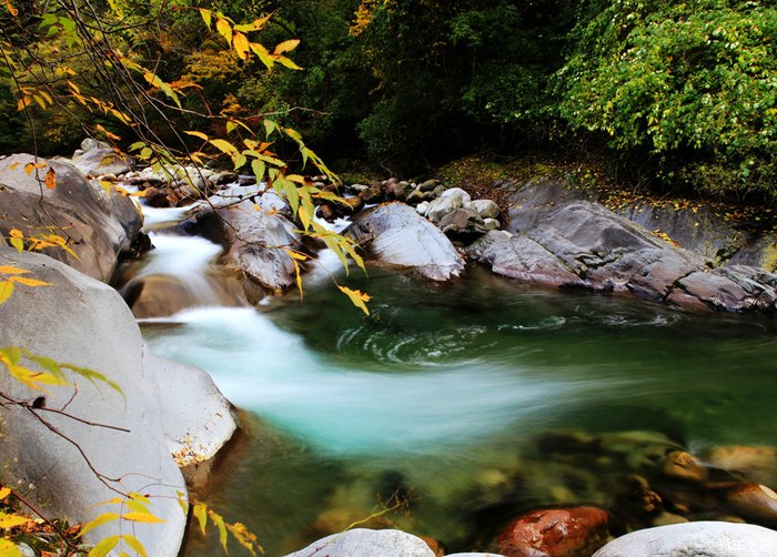 【图】太白山的秋色_雪铁龙C4L论坛