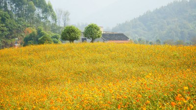 【重庆骋驰天下车友会】带你们去铜梁花海奇幻