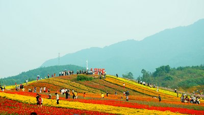 【重庆骋驰天下车友会】带你们去铜梁花海奇幻