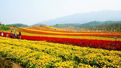 【重庆骋驰天下车友会】带你们去铜梁花海奇幻