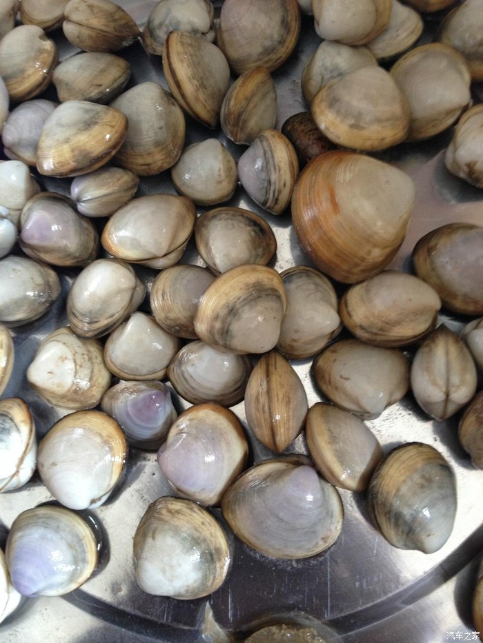 【图】【东台凯越车友会】 国庆期间 东台弶港