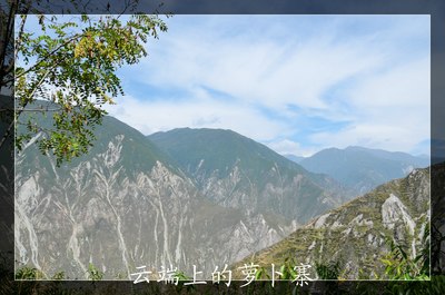 【猫】行走在云端上的街市--汶川县萝卜寨游记