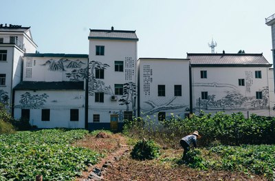 千岛湖边最美乡村自驾线路,你再不去他们就都