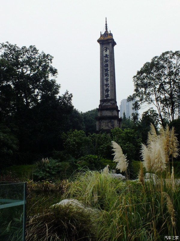 【图】【雪山】他年我若为青帝,报与桃花一处