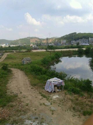 南宁良凤江附近的鱼塘钓鱼记_广西